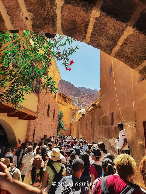 Saint Catherine is a town with inside the South Sinai Governorate of Egypt, on the foot of Mount Sinai. The town is well-known for Saint Catherine's Monastery. The town is positioned 1,586 meters above sea degree and is a hundred and twenty kilometers far far from Nuweiba. 