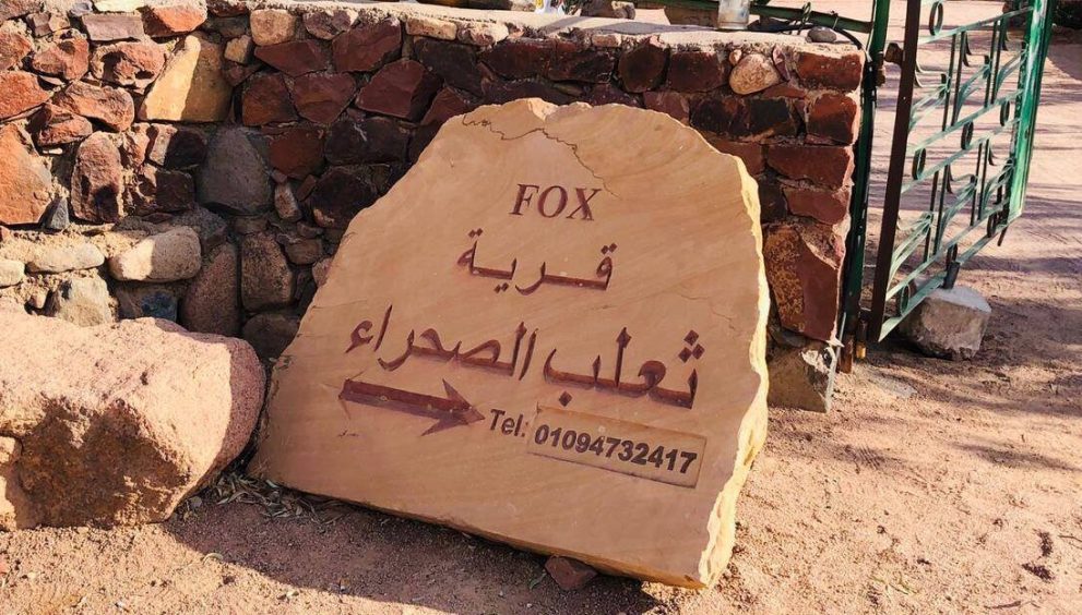 Located between the town and the monastery at the end of a verdant valley, Desert Fox Camp is a short walk from St. Catherine's Monastery and right at the foot of the Mount Sinai massif.