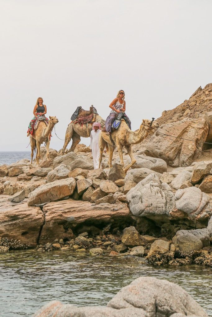 Abu Galum Protected Area is named after the quail plants that are found in the area, and the word "head" refers to any outbreak of baldness in the sea.