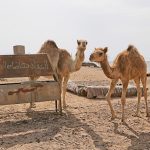 Blue Lagoon Dahab