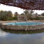 Discover the Hidden Gem: Ain Khudra Oasis