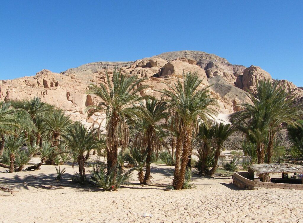 Nuweiba